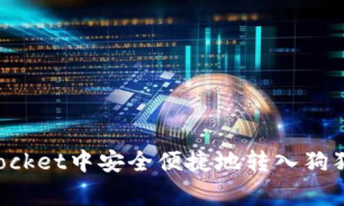 如何在TokenPocket中安全便捷地转入狗狗币（Dogecoin）