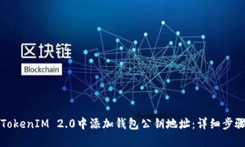 如何在TokenIM 2.0中添加钱包公钥地址：详细步骤与技巧