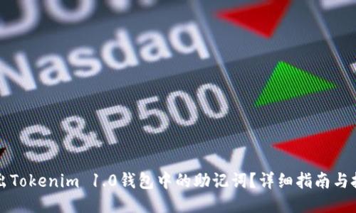 如何导出Tokenim 1.0钱包中的助记词？详细指南与技巧分享
