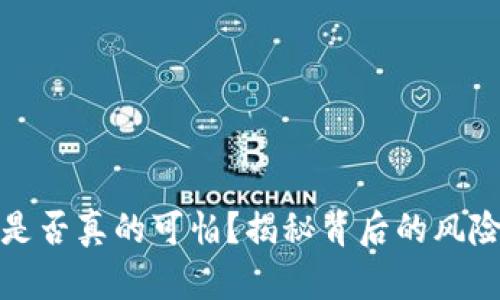 虚拟币是否真的可怕？揭秘背后的风险与机遇