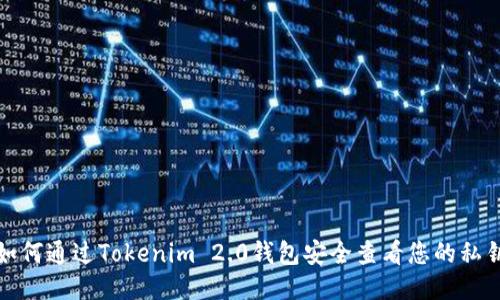 如何通过Tokenim 2.0钱包安全查看您的私钥