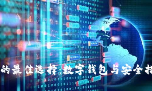 虚拟币存储的最佳选择：数字钱包与安全措施彻底解析