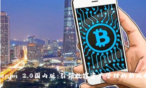 Tokenim 2.0国内版：引领数字资产管理的新风向标