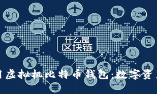 如何选择和使用虚拟机比特币钱包：数字资产安全的新高度