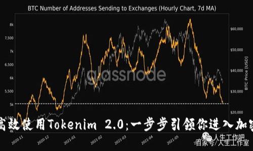 国内用户如何高效使用Tokenim 2.0：一步步引领你进入加密货币的新世界