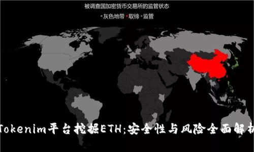 Tokenim平台挖掘ETH：安全性与风险全面解析