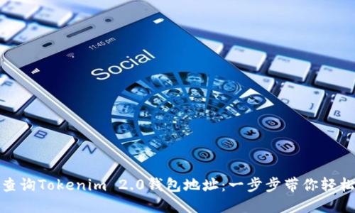 如何查询Tokenim 2.0钱包地址：一步步带你轻松搞定