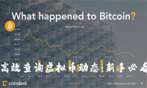 如何高效查询虚拟币动态：新手必看指南