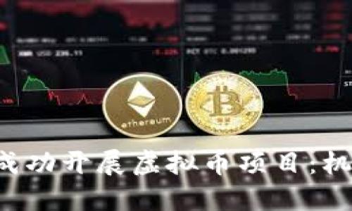 如何通过机构成功开展虚拟币项目：机遇、挑战与策略