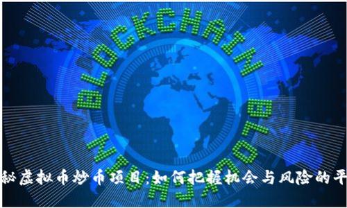 揭秘虚拟币炒币项目：如何把握机会与风险的平衡