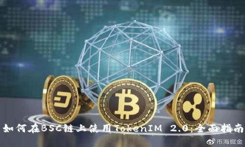 如何在BSC链上使用TokenIM 2.0：全面指南