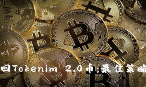 如何成功追回Tokenim 2.0币：最佳策略与实用指南