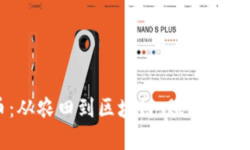 蔬菜虚拟币：从农田到区块链，赋能农产品的新未来