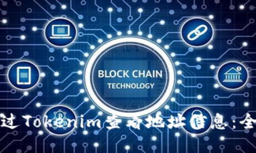 如何通过Tokenim查看地址信息：全面指南