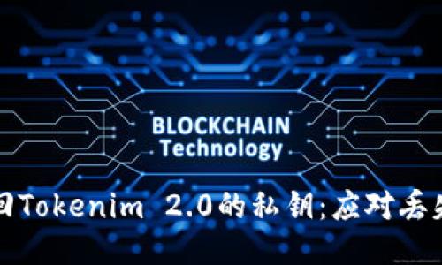 如何安全找回Tokenim 2.0的私钥：应对丢失风险的指南