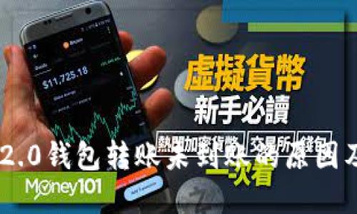Tokenim 2.0钱包转账未到账的原因及解决方案