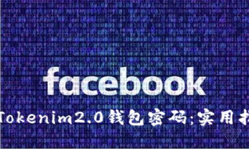 如何找回Tokenim2.0钱包密码：实用指南与技巧