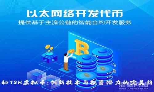 揭秘TSH虚拟币：创新技术与投资潜力的完美结合