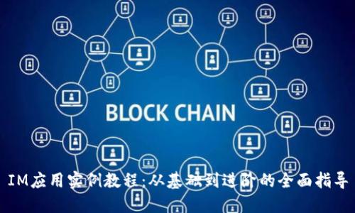 IM应用实例教程：从基础到进阶的全面指导