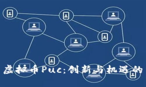 探索虚拟币Puc：创新与机遇的结合