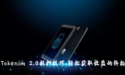 掌握Tokenim 2.0抵押技巧：轻松获取收益的终极指南