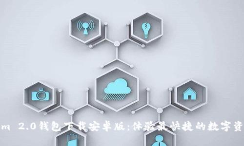 Tokenim 2.0钱包下载安卓版：体验最快捷的数字资产管理