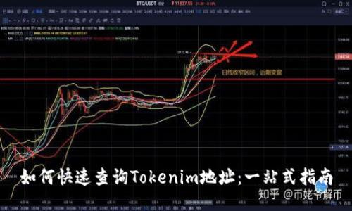 如何快速查询Tokenim地址：一站式指南