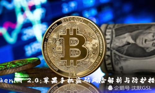 Tokenim 2.0：苹果手机盗码风险解析与防护措施