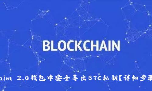 如何在Tokenim 2.0钱包中安全导出BTC私钥？详细步骤与注意事项