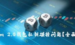 如何解决Tokenim 2.0钱包私钥碰撞问题？全面分析与