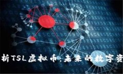 全面解析TSL虚拟币：未来的数字资产新星
