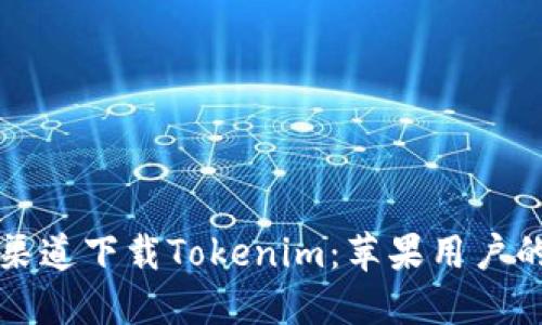 如何从官方渠道下载Tokenim：苹果用户的全方位指南