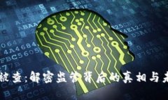 虚拟币被查：解密监管背后的真相与未来走向