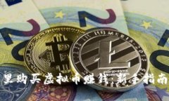 如何在钱包里购买虚拟币赚钱：新手指南与实用