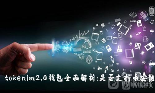 　tokenim2.0钱包全面解析：是否支持币安链？