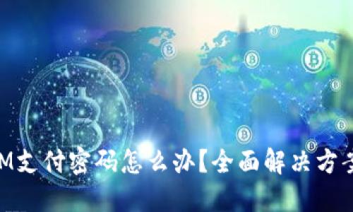 忘记TokenIM支付密码怎么办？全面解决方案与安全提示