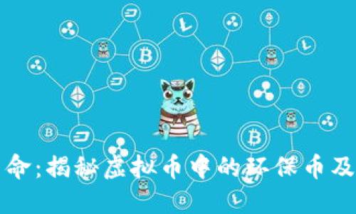 拥抱绿色革命：揭秘虚拟币中的环保币及其独特卖点
