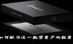 虚拟币的未来：如何抓住这一数字资产的投资机