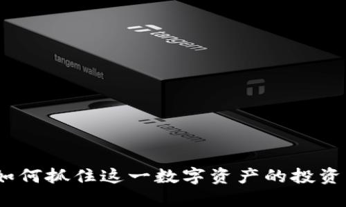 虚拟币的未来：如何抓住这一数字资产的投资机会并规避风险