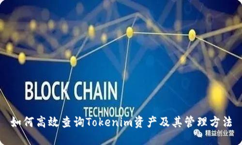 如何高效查询Tokenim资产及其管理方法