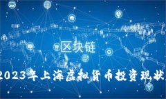 全面解析：2023年上海虚拟货币投资现状与监管政