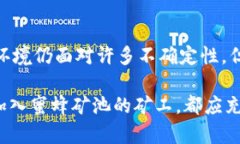 关于“Tokenim用蜜蜂矿池吗？”这个问题，首先需
