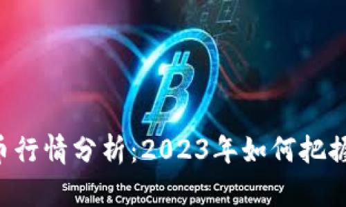 马币虚拟币行情分析：2023年如何把握投资机会？