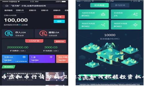马币虚拟币行情分析：2023年如何把握投资机会？