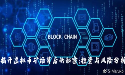 揭开虚拟币矿场背后的秘密：投资与风险分析