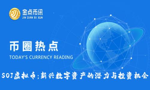 SOJ虚拟币：新兴数字资产的潜力与投资机会