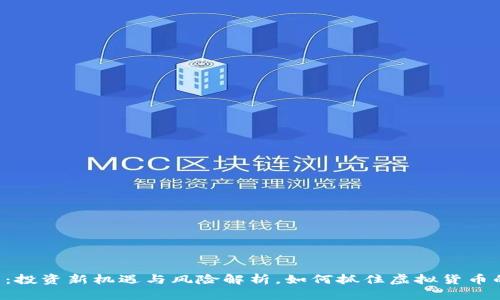 币托币：投资新机遇与风险解析，如何抓住虚拟货币的未来？