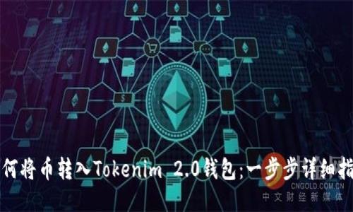 如何将币转入Tokenim 2.0钱包：一步步详细指南