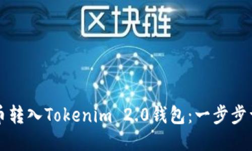 如何将币转入Tokenim 2.0钱包：一步步详细指南