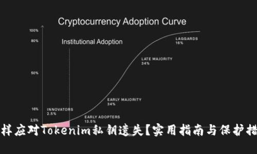 怎样应对Tokenim私钥遗失？实用指南与保护措施